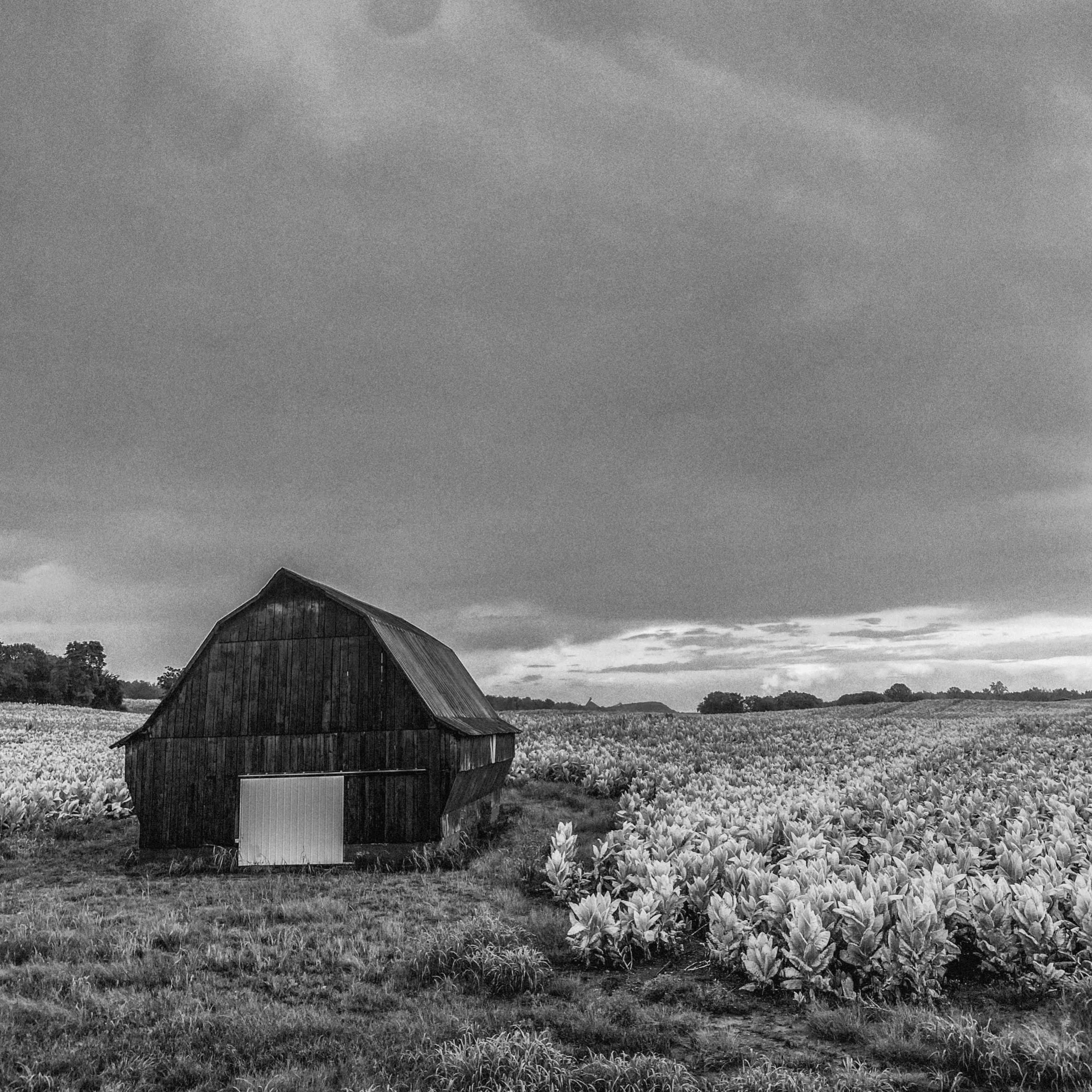 Black & White photo of a barn